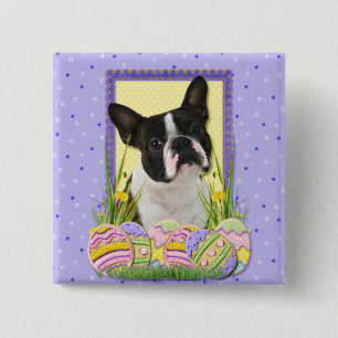 Easter Egg Cookies - Boston Terrier 15 Cm Square Badge