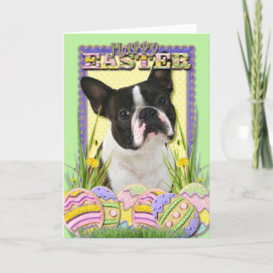 Easter Egg Cookies - Boston Terrier Holiday Card