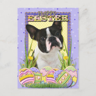 Easter Egg Cookies - Boston Terrier Holiday Postcard