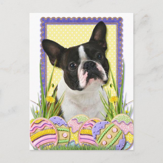 Easter Egg Cookies - Boston Terrier Holiday Postcard (Front)