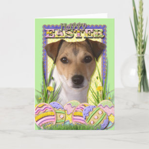 Easter Egg Cookies - Jack Russell Holiday Card