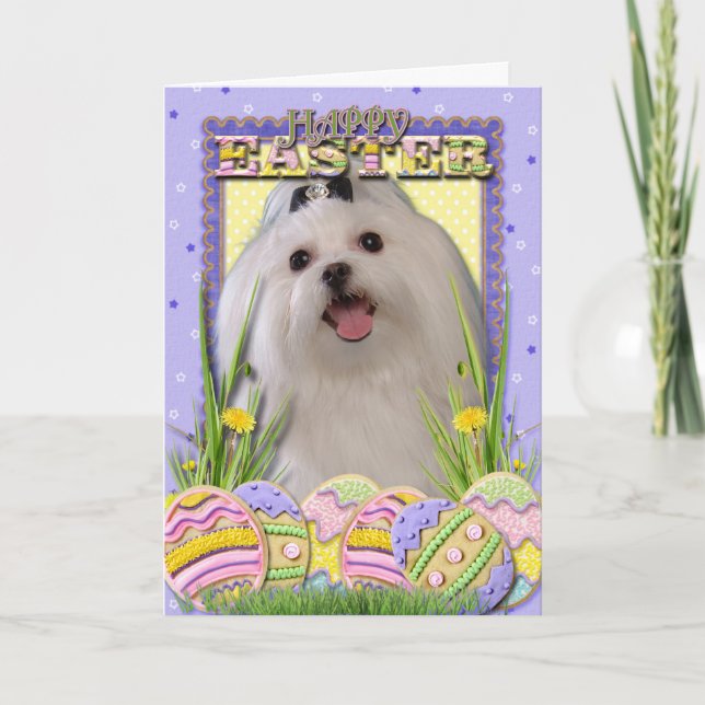 Easter Egg Cookies - Maltese Holiday Card (Front)