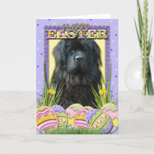 Easter Egg Cookies - Newfoundland Holiday Card