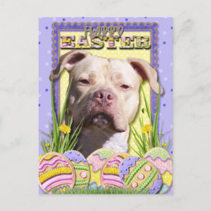 Easter Egg Cookies - Pitbull - JerseyGirl Holiday Postcard