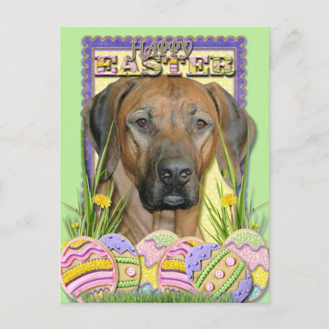 Easter Egg Cookies - Rhodesian Ridgeback Holiday Postcard (Front)