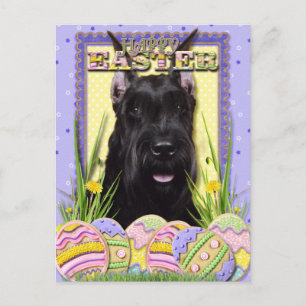 Easter Egg Cookies - Schnauzer Holiday Postcard