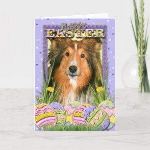 Easter Egg Cookies - Sheltie Holiday Card
