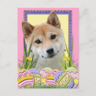 Easter Egg Cookies - Shiba Inu Holiday Postcard