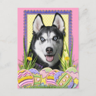 Easter Egg Cookies - Siberian Husky Holiday Postcard