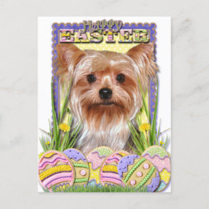 Easter Egg Cookies - Yorkshire Terrier Holiday Postcard
