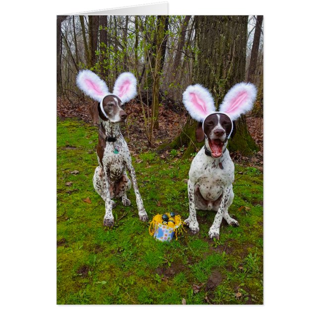 Easter Egg Hunt and Party Dogs Greeting Card (Front)