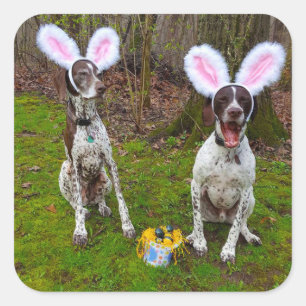 Easter Egg Hunt and Party Dogs Round Stickers