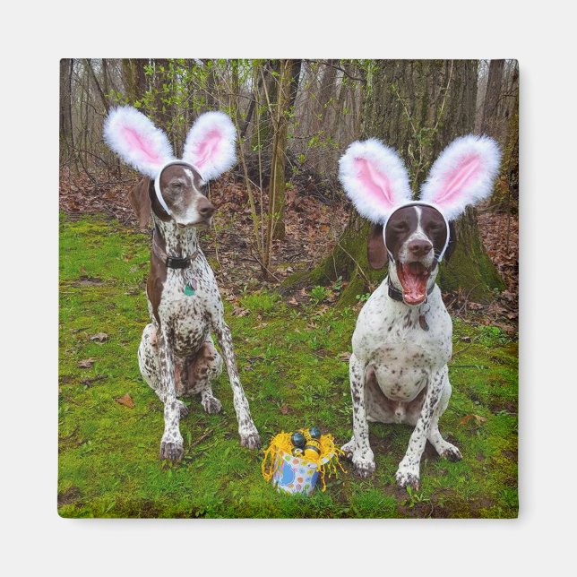 Easter Egg Hunt and Party Dogs Square Magnet (Front)