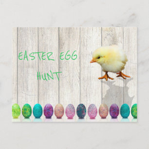 Easter Egg Hunt  Colourful Chick Rustic Invitation Postcard