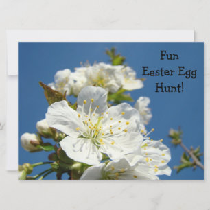 Easter Egg Hunt! party Event Spring Invitations