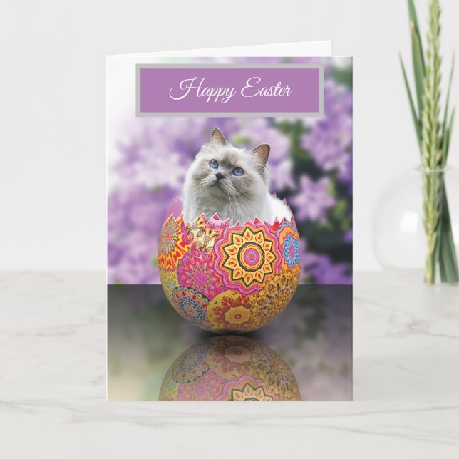 Easter Egg Kitten Cat Happy Easter Card (Front)