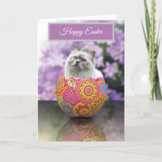 Easter Egg Kitten Cat Happy Easter Card