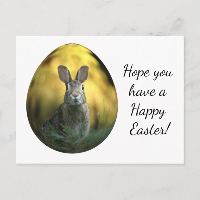 Easter Egg With Bunny Postcard (Front)