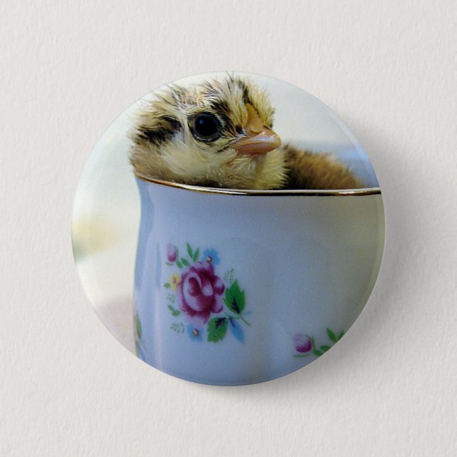 Easter Egger Chick in Cup 6 Cm Round Badge (Front)