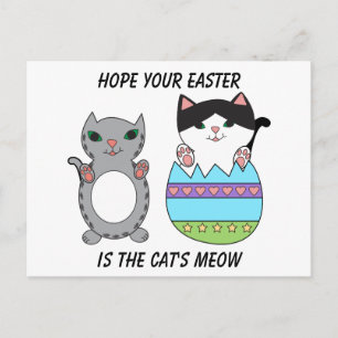 Easter Eggs Cats Cute Colourful Personalise Holiday Postcard