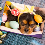 Easter Eggs Cavalier King Charles Spaniel Card<br><div class="desc">This Easter Eggs Cavalier King Charles Spaniel card is perfect for dog lovers and pet owners. Celebrate the season with a charming,  whimsical design that captures the joy and cuteness of your furry friend.</div>