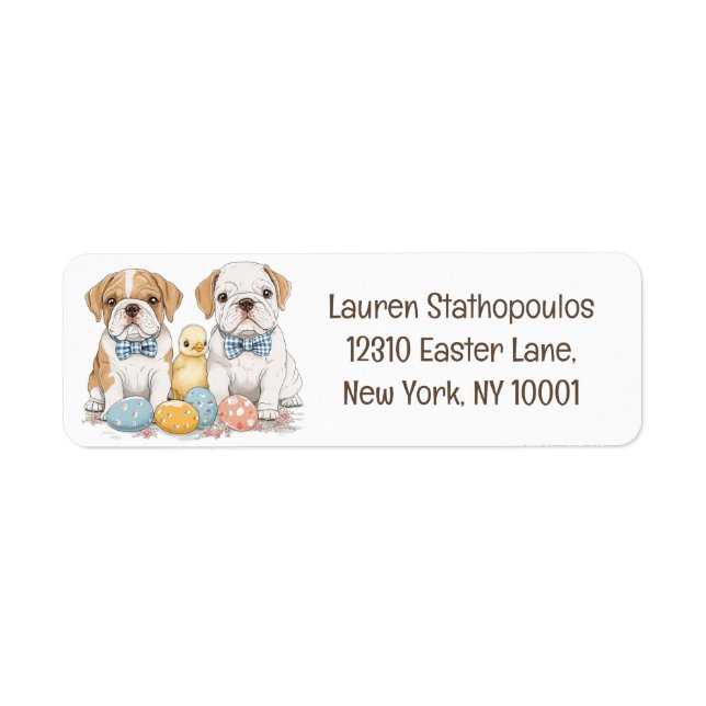 Easter English Bulldogs (Front)