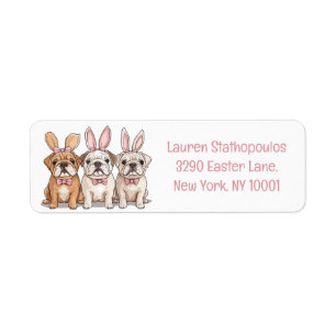 Easter English Bulldogs