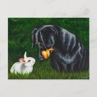 Easter Eye to Eye - Dachshund Dog and Bunny Rabbit Holiday Postcard