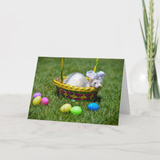 Easter Ferret Greeting Card