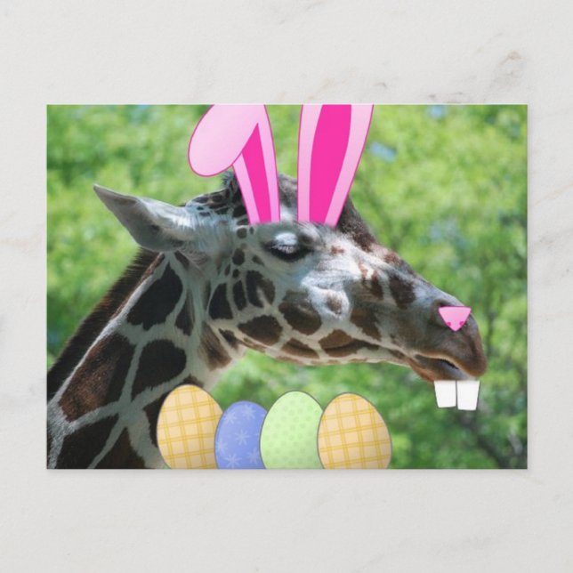Easter Giraffe Holiday Postcard (Front)