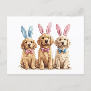 Easter Golden Retriever Dogs Bunny Ears Holiday Postcard