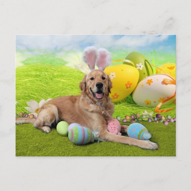 Easter - Golden Retriever - Frank Holiday Postcard (Front)