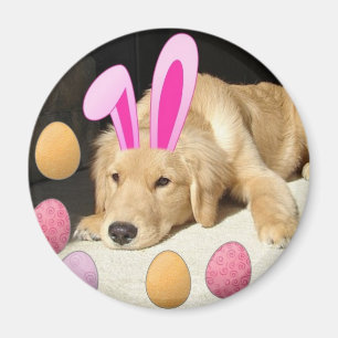 Easter Golden Retriever Magnet