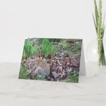 Easter greeting card