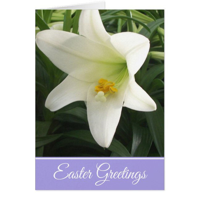 Easter Greeting Card Easter Lily (Front)