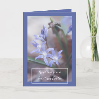 Easter Greetings - Chionodoxa - Card