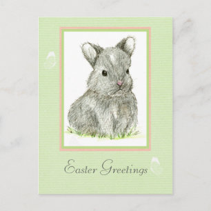Easter Greetings Grey Baby Bunny Rabbit Holiday Postcard