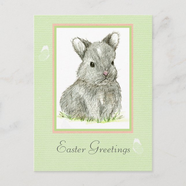 Easter Greetings Grey Baby Bunny Rabbit Holiday Postcard (Front)
