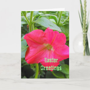 Easter greetings,Happy Easter, red petunia flower. Holiday Card