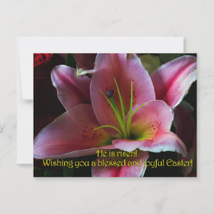 EASTER GREETINGS POSTCARD