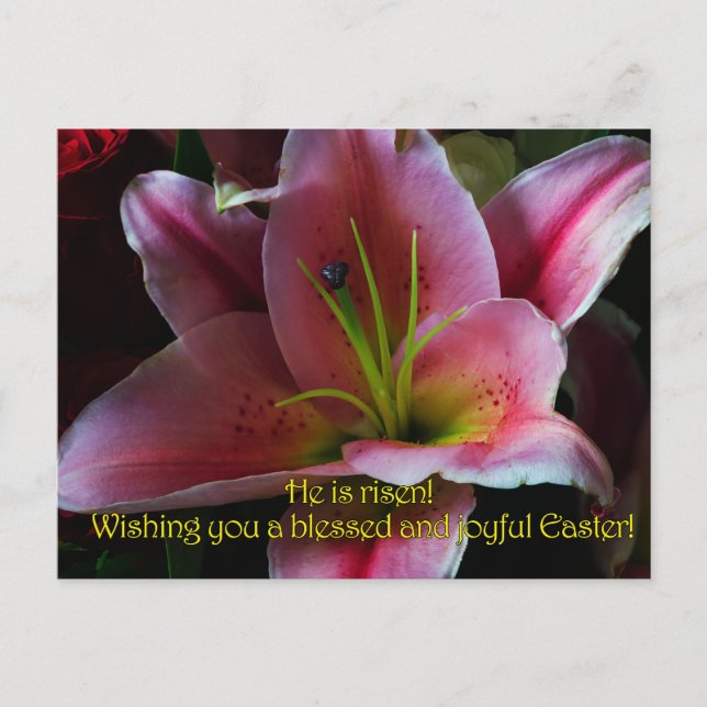 EASTER GREETINGS POSTCARD (Front)