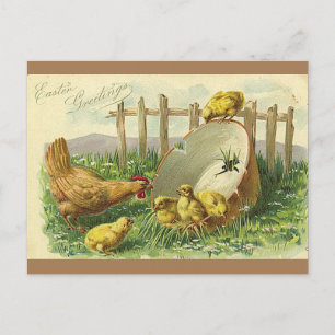 Easter Greetings Vintage Postcard Chicks