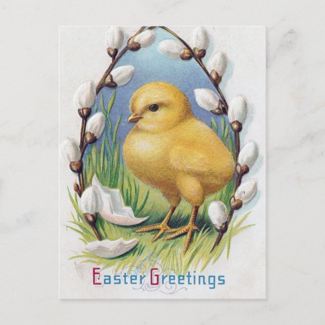 Easter Greetings Vintage Yellow Chick Holiday Postcard (Front)