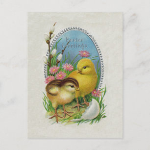 Easter Greetings Yellow Chicks Flowers Holiday Postcard
