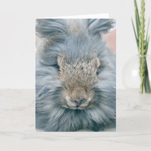 Easter Grey Bunny Holiday Card