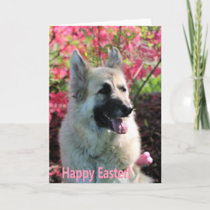 Easter GSD Holiday Card
