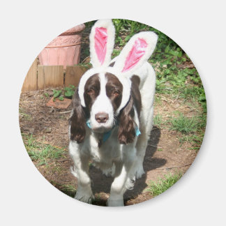 Easter Hank Magnet