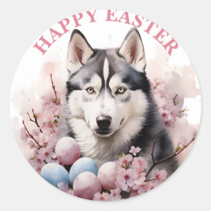 Easter Husky Chocolate Eggs and Flowers -   Classic Round Sticker