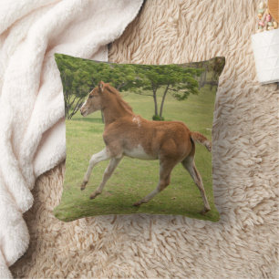 Easter Island aka Rapa Nui Cushion