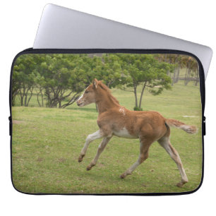 Easter Island aka Rapa Nui Laptop Sleeve